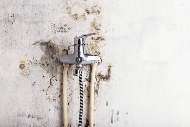 Best Mold Testing and Inspection Services in Sycamore, GA